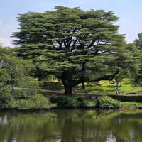 Shinjuku Gyoen