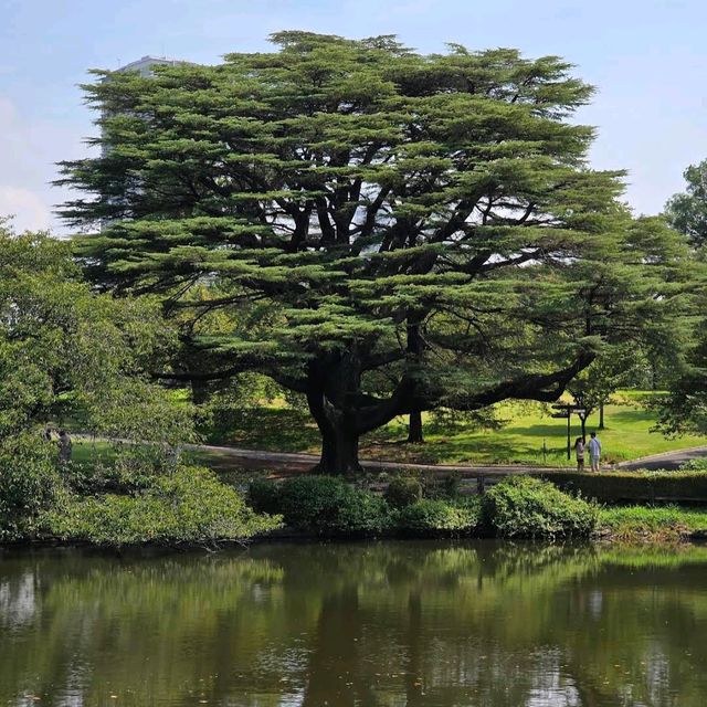 Shinjuku Gyoen