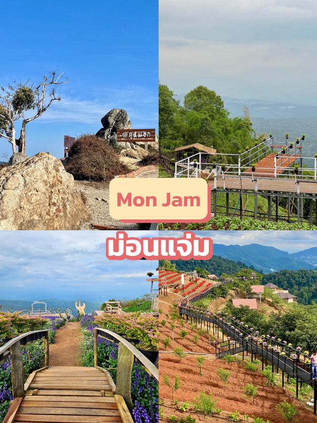 หมอกบนม่อน วิวหลักล้าน อากาศเย็นสบายจ้าววว 🌄❄️💚