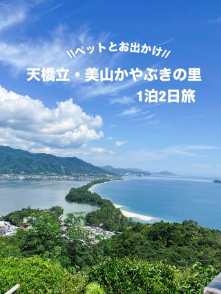 【아마노하시다테】애완동물과 외출! 아마노하시다테・미야마 카야부키노사토 1박2일 여행