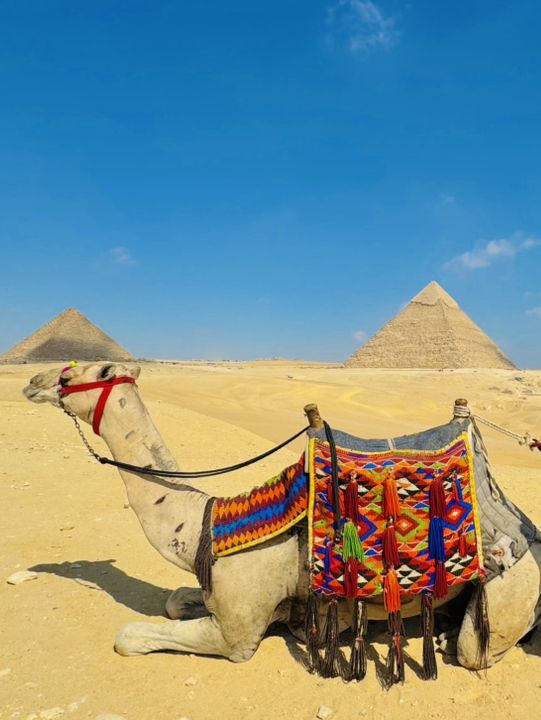 Cairo,Egypt🇪🇬
