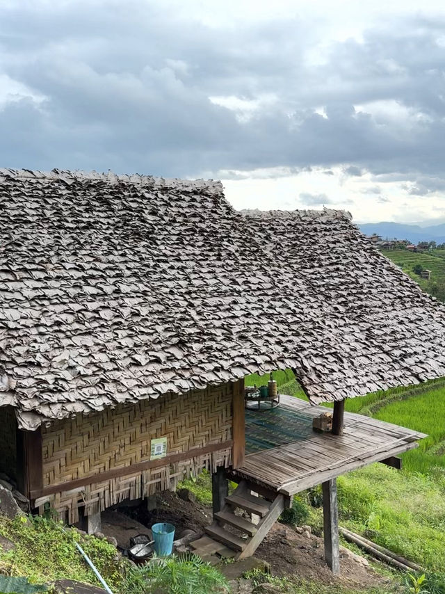 โฮมสเตย์บ้านป่าบงเปียง จังหวัดเชียงใหม่