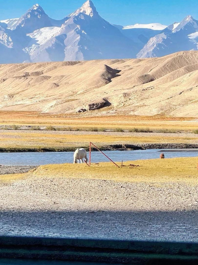 ✨ Southern Xinjiang – a symphony of mountains, grasslands, and endless skies ✨