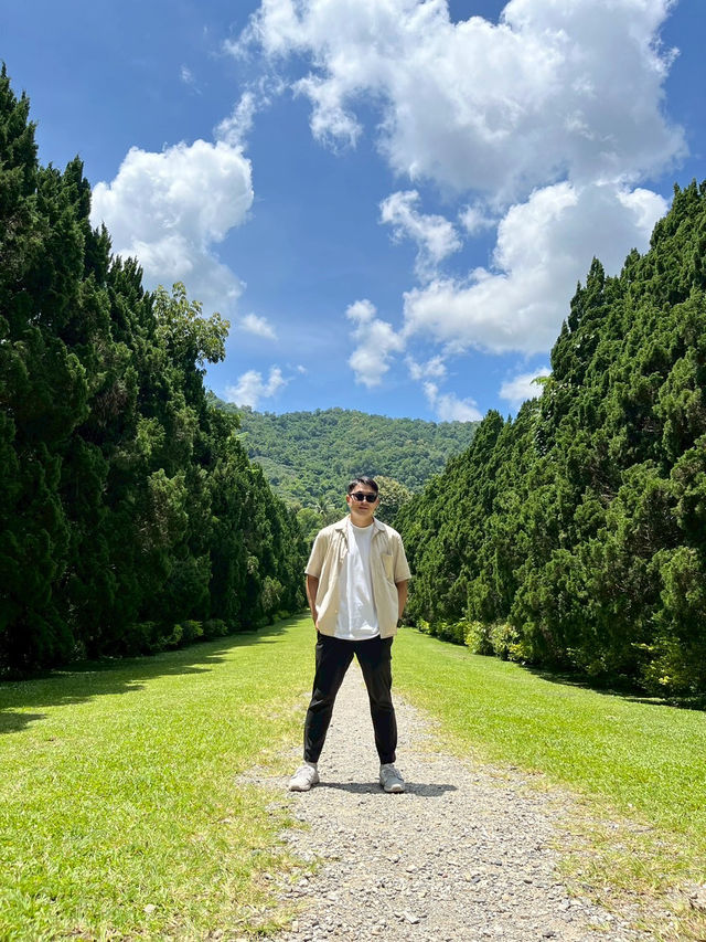 綠蔭之間——清邁 Cypress Lanes 的靜謐漫步