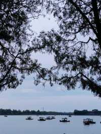 Discover the Summer Palace, Beijing