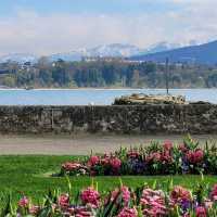 Geneva The Elegant Gateway to the Alps
