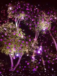 Jeju Arte Magic✨