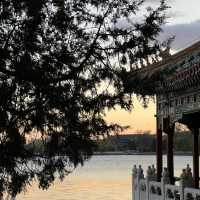 Beihai Park Magic🌿