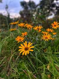 🗿 Effigy Mounds National Monument – Ancient History in Nature 🌿