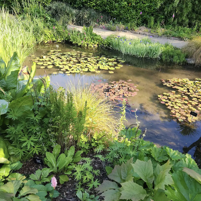 Dunedin Botanic Garden