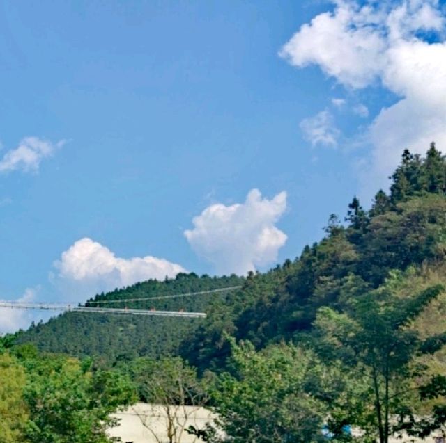一日走進仙境森林秘谷🌳