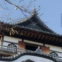 Inuyama Castle