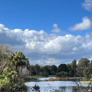 Bridgford Park⛺️恬靜舒適