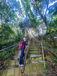 靜謐山林裡的大佛手——南觀音山步道小旅行