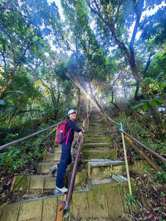 靜謐山林裡的大佛手——南觀音山步道小旅行