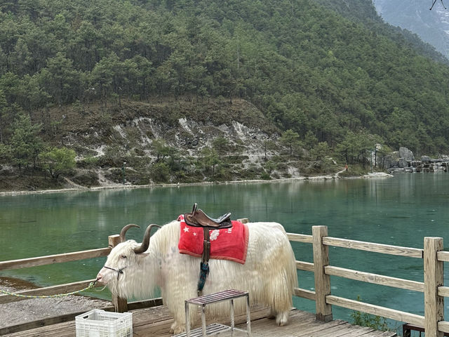 Yulong Dreamscape✨