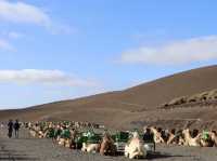 The Fiery Soul and Scenic Charm of Lanzarote