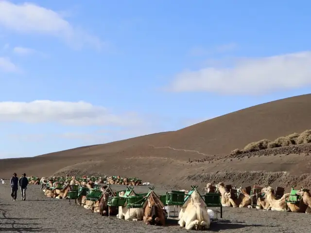 The Fiery Soul and Scenic Charm of Lanzarote