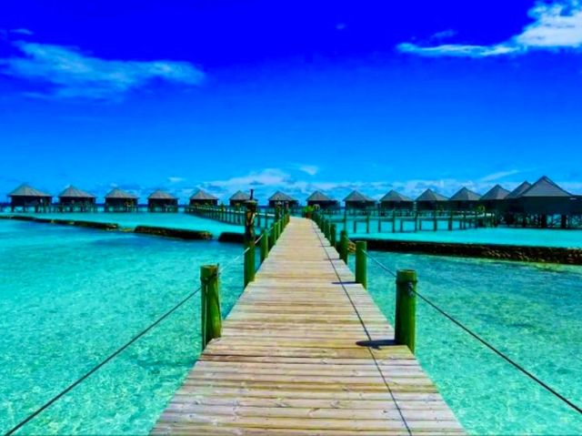 Kuredu Island Resort & Spa – Fun and Relaxation for Everyone Kuredu Island Resort & Spa – Fun and Relaxation for Everyone