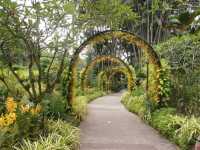 Singapore Botanic Gardens