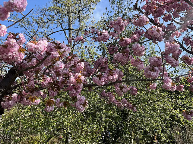 Claude Monet's House and Gardens - Giverny