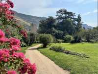 Garden of Ninfa