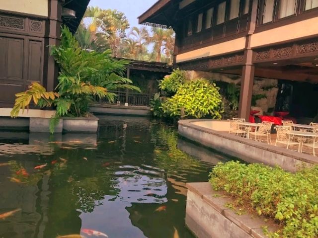 🌿 Pulai Springs Resort, Johor Bahru – A Tranquil Escape Surrounded by Nature