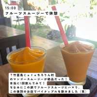 【沖縄】日帰り竹富島の1日🏖️