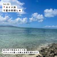 【沖縄】日帰り竹富島の1日🏖️