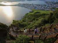 성산일출봉 유채꽃과 감성 카페 코스 (한국어 작성)