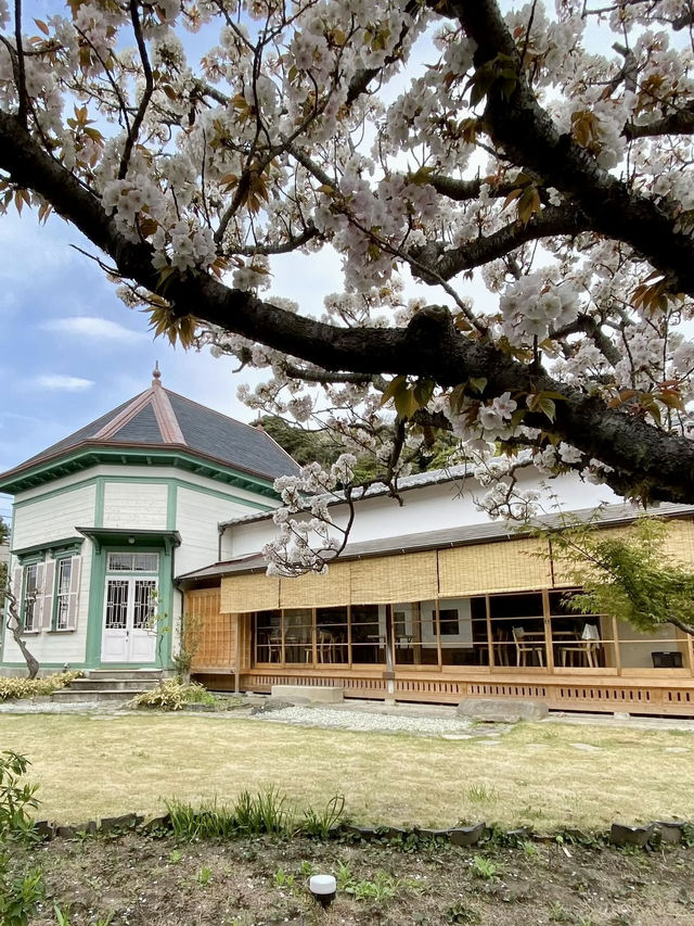 A Hidden Gem Café in Kamakura – Kitahashi Café ☕🌿