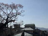 大阪、京都自由行