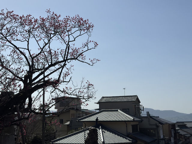 大阪、京都自由行 大阪、京都自由行