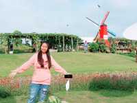 งานเมล็ดพันธุ์ บริษัทศรแดง