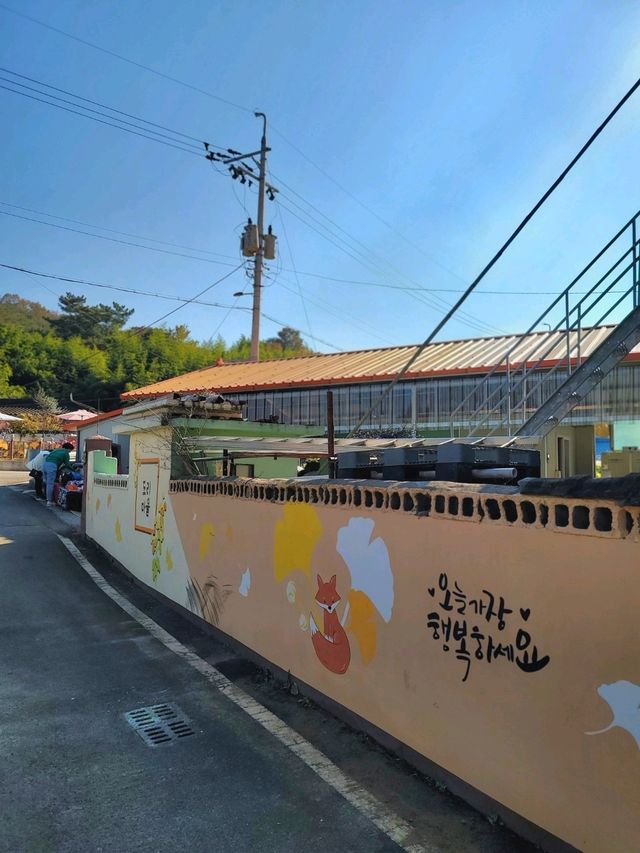 경주의 가을이 더 아름다워지는 이유💛