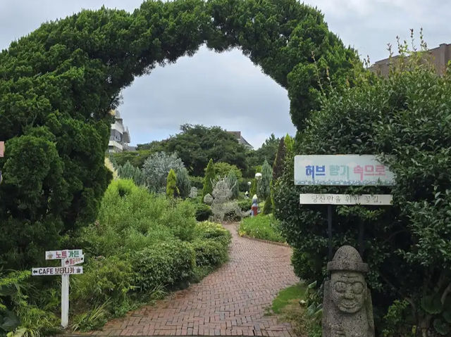 Jeju herb garden