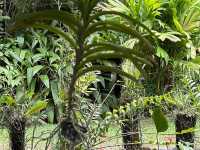 Garden of the Sleeping Giant