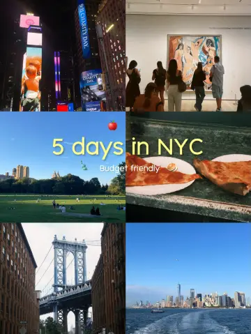 5 Days in NY (low budget ver.)