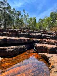 🌿💦 Litchfield National Park – Australia’s Tropical Wonderland
