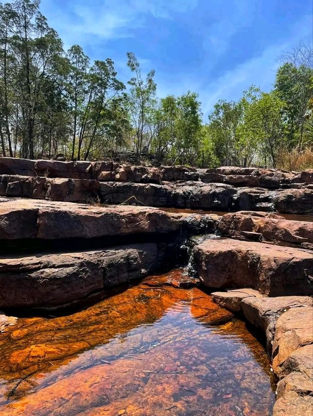🌿💦 Litchfield National Park – Australia’s Tropical Wonderland 🌿💦 Litchfield National Park – Australia’s Tropical Wonderland