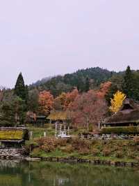 Hida Folk Village (Hida no Sato) 🍁🍂