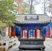 🌿  Laoshan Taiqing Palace – A Seaside Taoist Wonderland