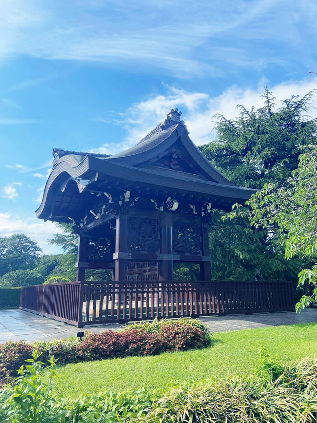 Your Spring Awakening: A Solo Escape to Kew Gardens