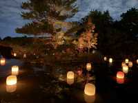 🌸大阪3日間の小旅行🌸