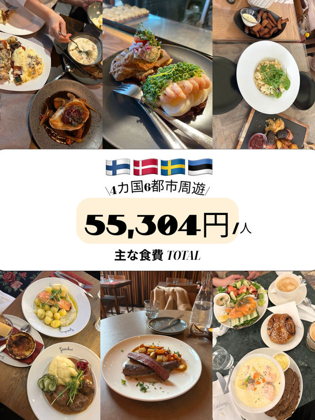 【北欧周遊🇫🇮🇩🇰🇸🇪🇪🇪】主な食事・食費 まとめ 【北欧周遊🇫🇮🇩🇰🇸🇪🇪🇪】主な食事・食費 まとめ