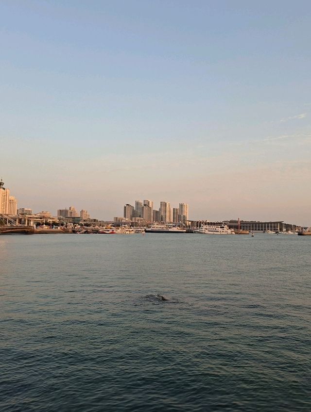 รีวิว Qingdao International Sailing Centre!