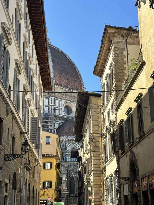 피렌체의 심장, 피아차 델라 시뇨리아