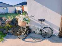 푸른 바다와 산이 어우러진 곳 📍제주도