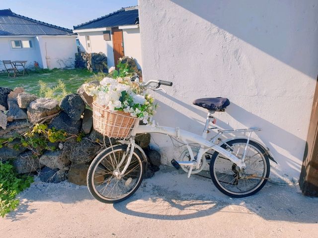 푸른 바다와 산이 어우러진 곳 📍제주도 푸른 바다와 산이 어우러진 곳 📍제주도