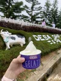 Fresh air, green hills, and happy cows—Kundasang perfection🐄⛰️